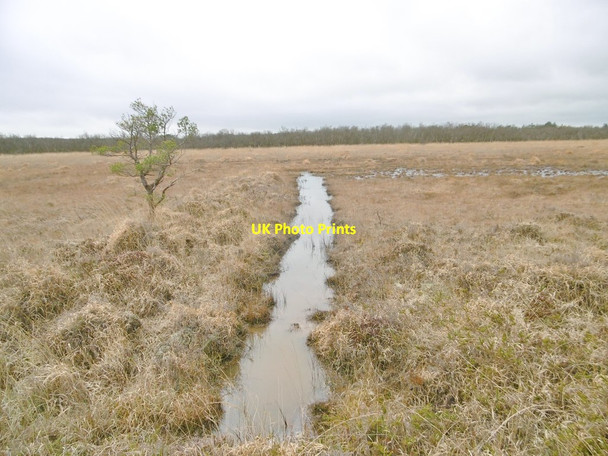 Photo 6"x4" Decoy Heath, ditch Sherford\/SY9193 c2017