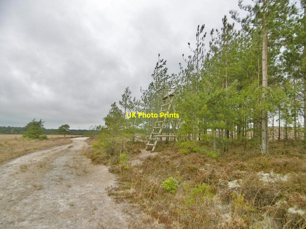 Photo 6"x4" Decoy Heath, high seat (b) Sherford\/SY9193 c2017