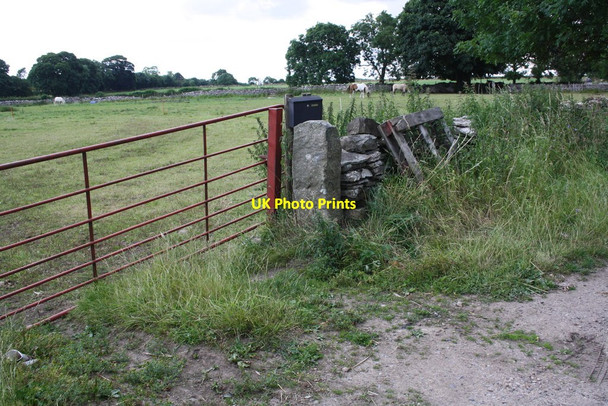 Photo 6"x4" Field access gateway near Willow Garth Spennithorne c2016