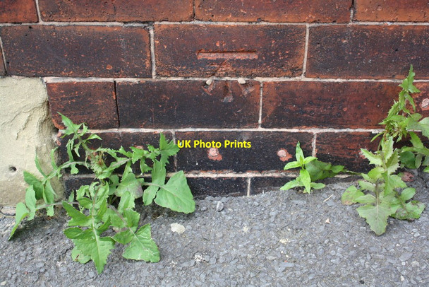 Photo 6"x4" Benchmark on #1 Aviary Terrace Armley c2016
