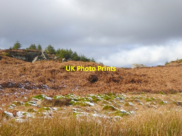 Photo 6"x4" Rocks above Little Wanney Crag Ridsdale c2017