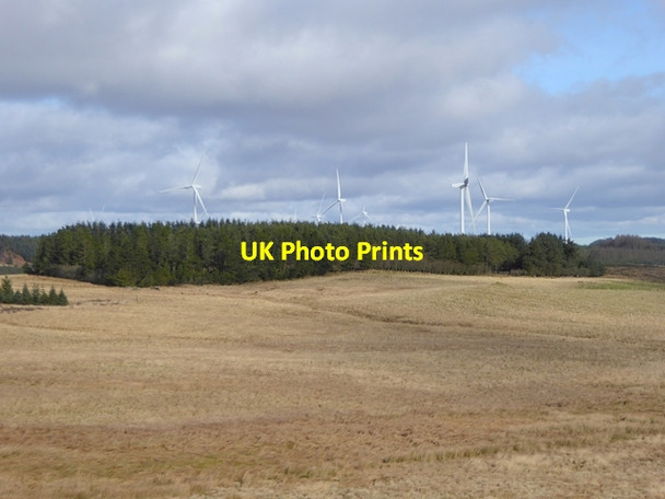 Photo 6"x4" Moorland and plantation in the Wanney Hills Ridsdale c2017