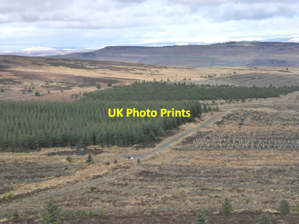 Photo 6"x4" Moorland and plantation in the Wanney Hills Ridsdale c2017 P2