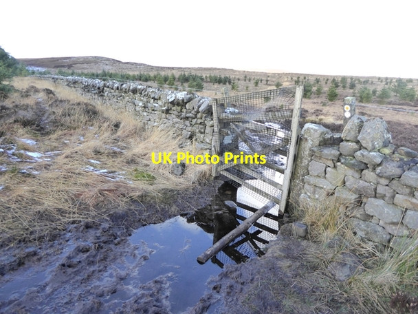 Photo 6"x4" Gate on the path to Great Wanney Crag Ridsdale c2017