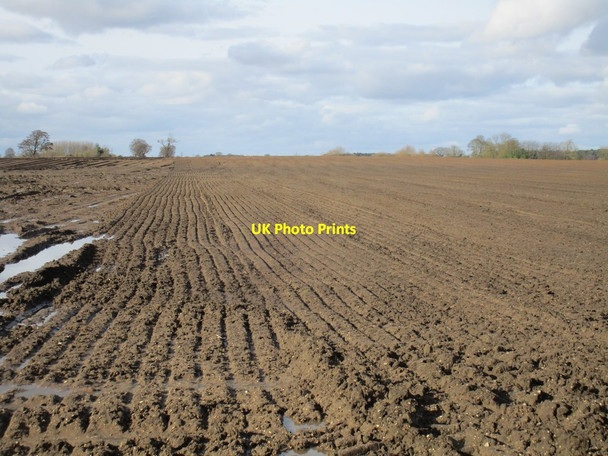 Photo 6"x4" Harrowed field Seaton Ross c2017