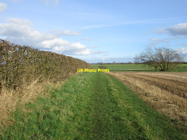 Photo 6"x4" Path alongside a hedge Holme-on-Spalding-Moor c2017