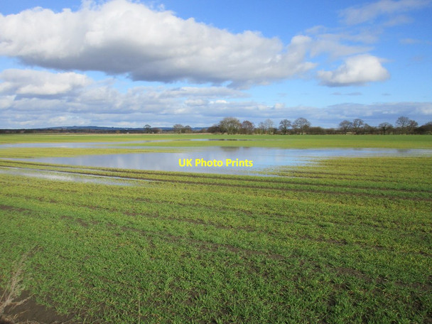 Photo 6"x4" Waterlogged field near Dial House Farm Holme-on-Spalding-Moor c2017