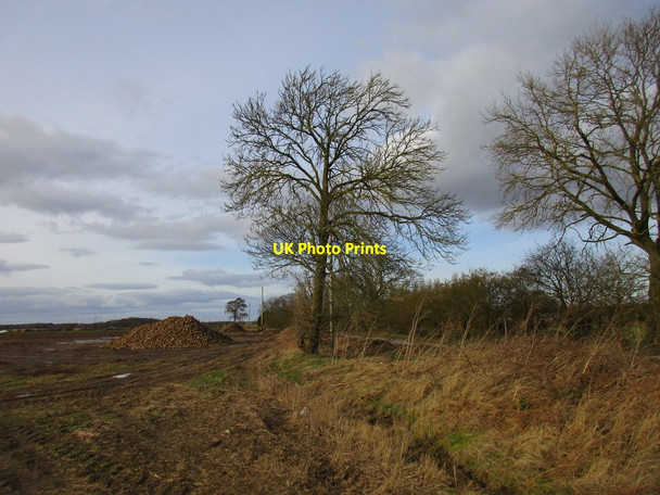 Photo 6"x4" Alongside Cliffe Road Harswell c2017