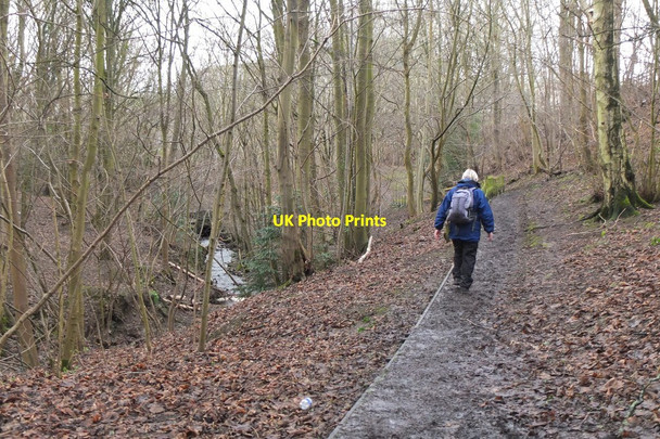 Photo 6"x4" Path by Ladhope Burn, Galashiels Galashiels c2017