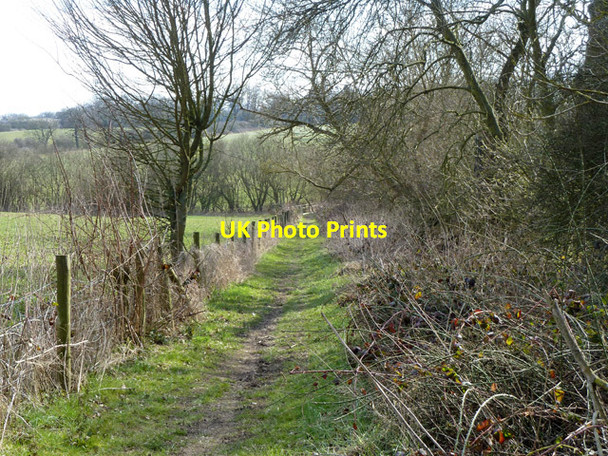 Photo 6"x4" Footpath descending to cross Salmon's Brook Botany Bay\/TQ2999 c2013