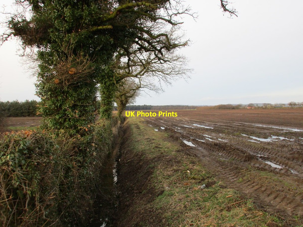Photo 6"x4" Drain and wet field off Lock Lane Rascal Moor c2017