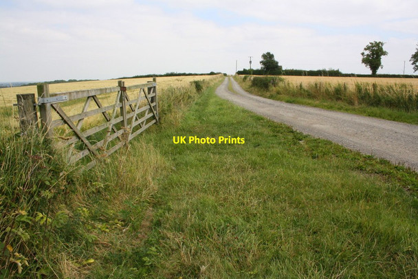 Photo 6"x4" Farm access road to Wintylow Tunstall\/SE2195 c2016
