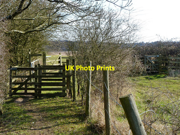Photo 6"x4" Footpath gates Potters Bar c2013