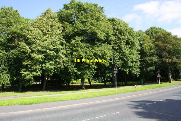 Photo 6"x4" Newbigging Park, Scotton Road Hipswell c2016