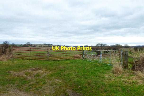 Photo 6"x4" Gates on the road to Barton Le Willows Barton-le-Willows c2017