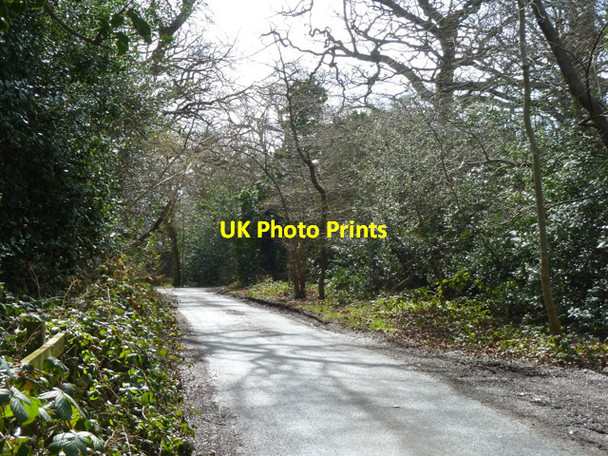 Photo 6"x4" Arkley Lane Barnet c2013