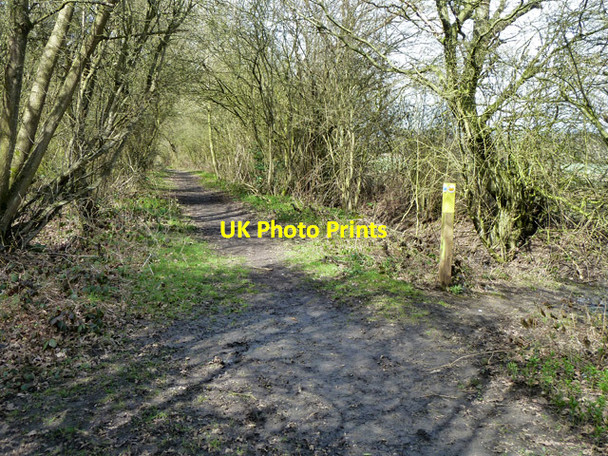 Photo 6"x4" Path junction, Conduit Wood Lambourne\/TQ4796 c2013