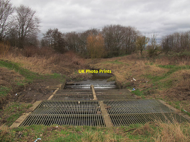 Photo 6"x4" Trash screen on the Wyke Beck Cross Green\/SE3232 c2017