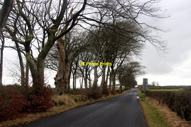 Photo 6"x4" B778 westwards from Stewarton Stewarton\/NS4246 c2017