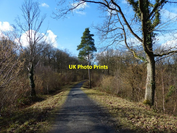 Photo 6"x4" National Cycle Route 45 in the Wyre Forest Buttonoak c2017