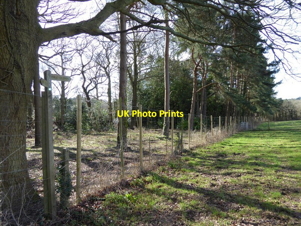 Photo 6"x4" Edge of paddock with footpath sign Haywards Heath c2017