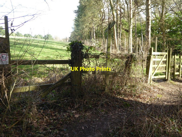 Photo 6"x4" Footpath leaves woodland to enter paddock Ansty\/TQ2923 c2017