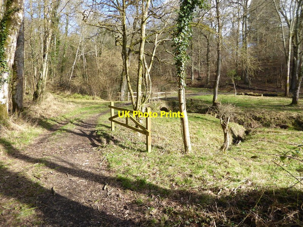 Photo 6"x4" Footpath proceeds to bridge over stream Ansty\/TQ2923 c2017