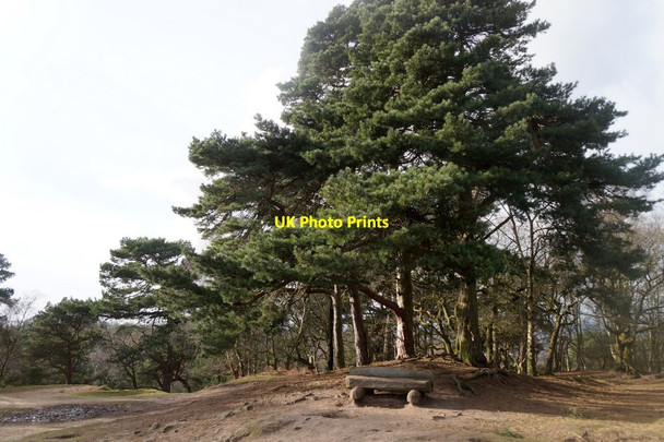 Photo 6"x4" Bench at Stormy Point, Alderley Edge Alderley Edge\/SJ8478 c2017