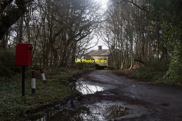 Photo 6"x4" Track to Bradford Lodge Farm, Finlow Hill Lane, Over Alderley Alderley Edge\/SJ8478 c2017