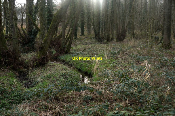 Photo 6"x4" Small stream in woodland north of Redesmere Siddington\/SJ8471 c2017