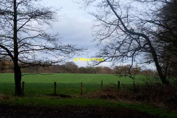 Photo 6"x4" Farmland north of Redesmere Siddington\/SJ8471 c2017