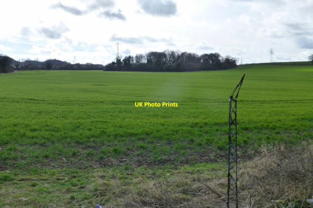 Photo 6"x4" View towards Hipsey Spinney Upper Sundon c2017