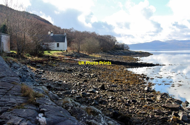 Photo 6"x4" Loch Fyne's shingle shore at Goirtein Croft Lephinchapel c2017