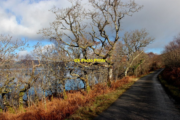 Photo 6"x4" B8000 by Loch Fyne Lephinchapel c2017