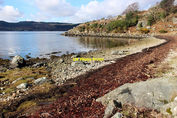 Photo 6"x4" Loch Fyne shore at Garbh Chamas Garbhallt c2017