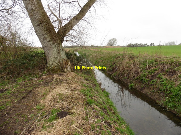 Photo 6"x4" Greinton Rhyne Greinton c2017