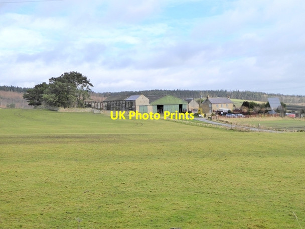 Photo 6"x4" Frankham Fell Farm Fourstones\/NY8967 c2017