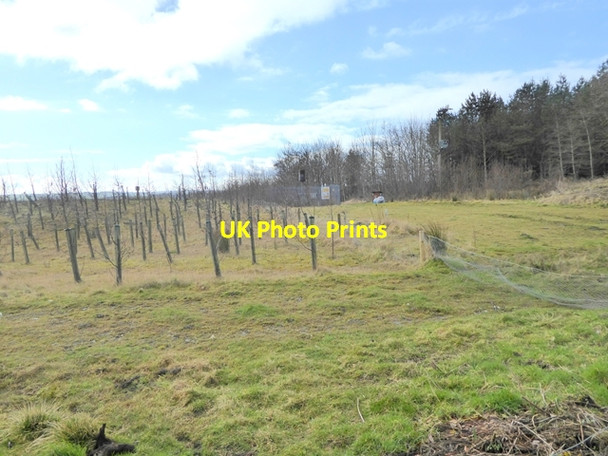 Photo 6"x4" Frankham Landfill Site Fourstones\/NY8967 c2017