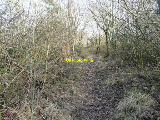 Photo 6"x4" Public bridleway from King's Meaburn to Burwain Hall King's Meaburn c2017