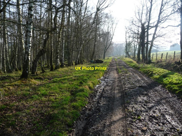 Photo 6"x4" Public bridleway heading south-east to Burwain Hall King's Meaburn c2017