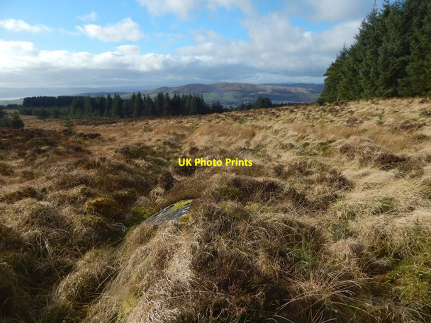 Photo 6"x4" A clearing on Pappert Hill Bonhill c2017