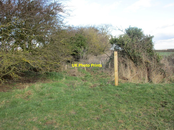 Photo 6"x4" New post Culverthorpe c2017