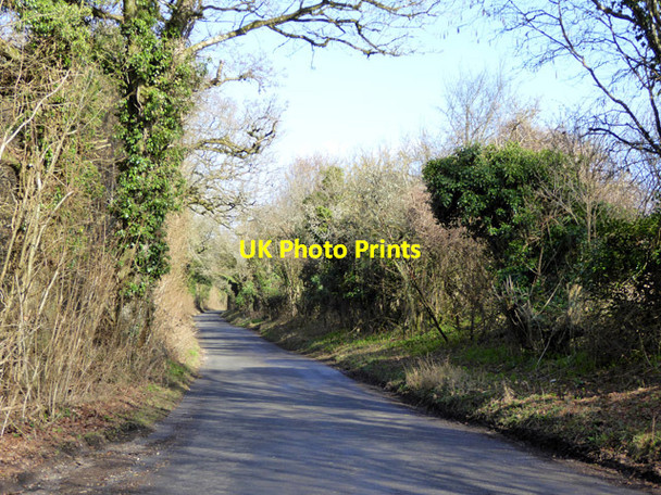 Photo 6"x4" Lane by Pribdean Wood Deanland c2017