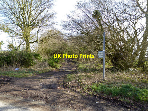 Photo 6"x4" Byway to Ox Drove Woodminton c2017