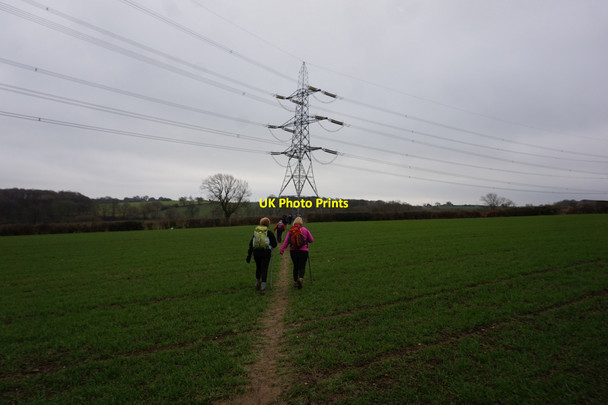 Photo 6"x4" Path leading to Storrs Lane Four Lane End c2017