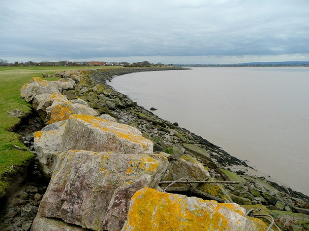 Photo 6"x4" The Severn shore near Lydney Harbour Tutnalls c2009