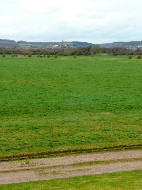 Photo 6"x4" New Grounds\/Lydney Marsh Tutnalls c2009
