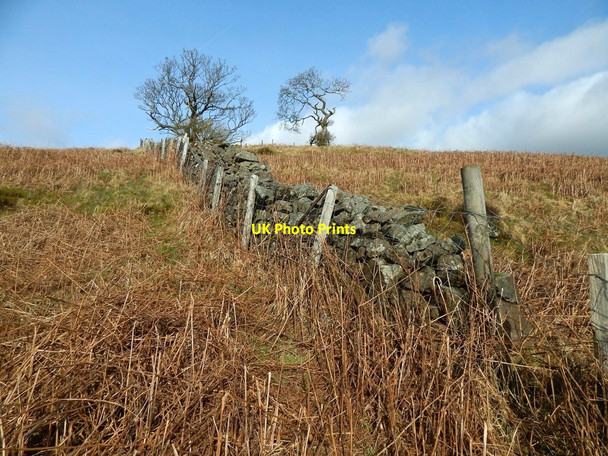 Photo 6"x4" Fence and dry-stone wall Old Kilpatrick c2017