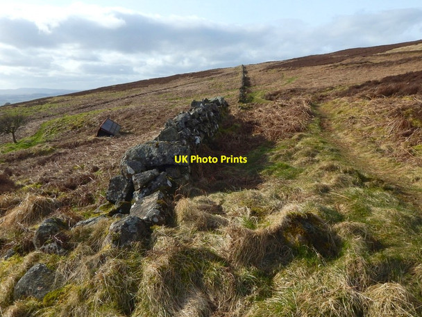 Photo 6"x4" The line of a dry-stone wall Old Kilpatrick c2017