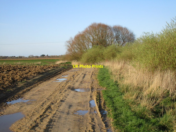 Photo 6"x4" Farm track and footpath to Breighton Wressle\/SE7131 c2017